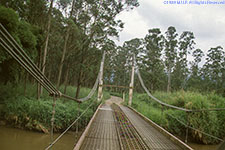 bridge on Highlands Highway